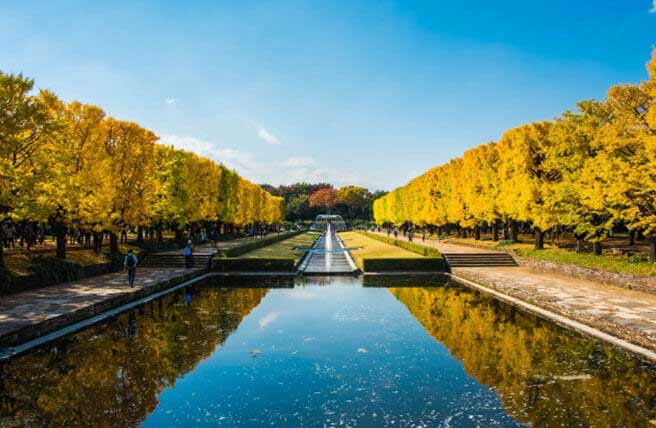 国営昭和記念公園