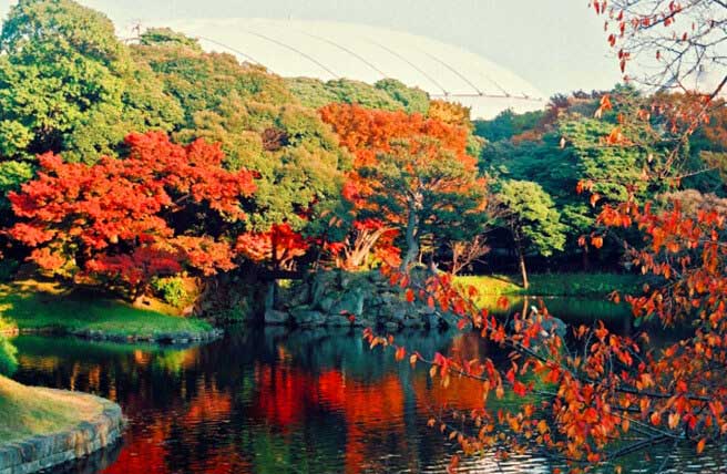 小石川後楽園