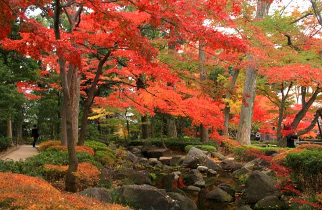 太田黒公園