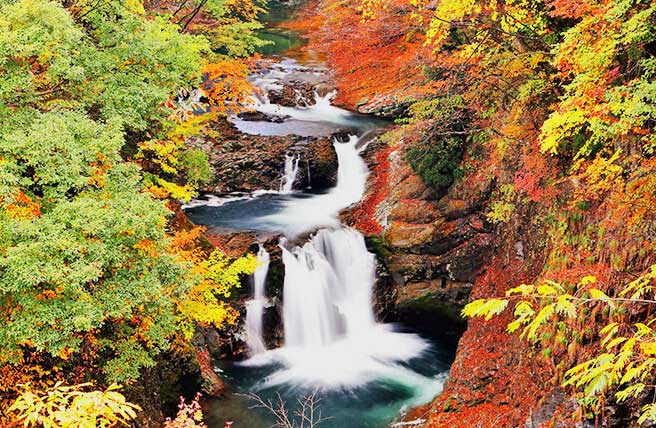 滝 紅葉
