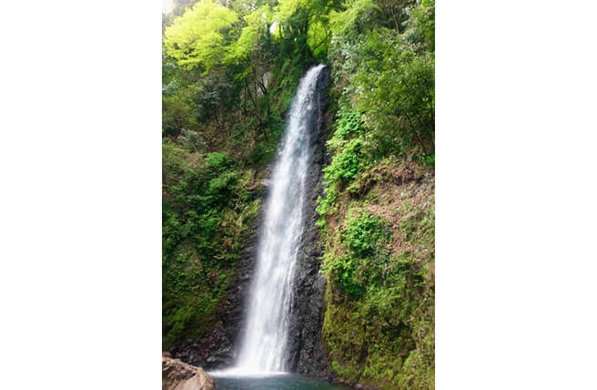 滝 直瀑