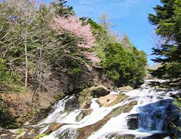 【関東近郊】自然あふれる滝のパワースポット！滝の見所・楽しみ方