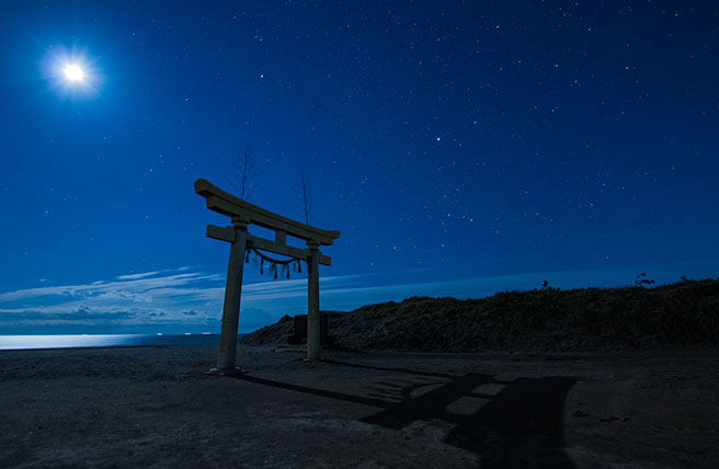 夜 鳥居